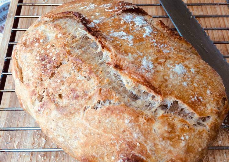 Sourdough bread levain (starter)