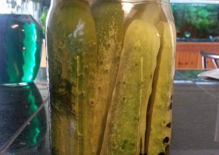 Spicy Dill Refrigerator Pickles