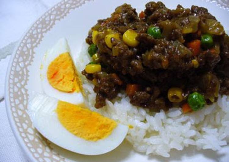 The Matsumoto Family's Dry Curry