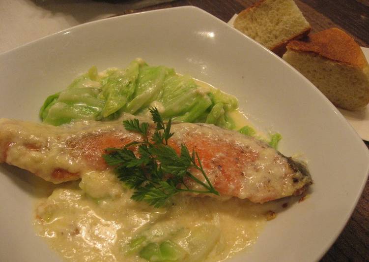 Easy Salmon and Cabbage with Cheese Cream Sauce